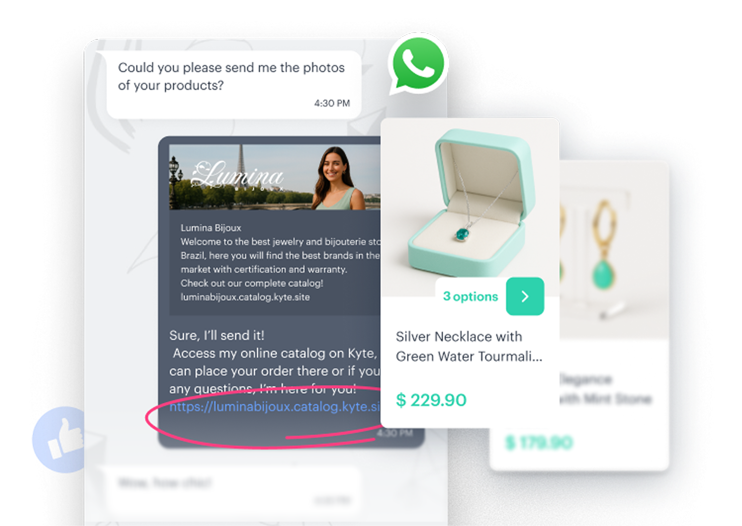 Picture of the author